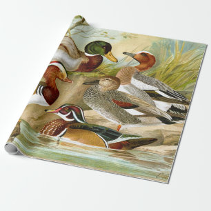 Papier Cadeau Beaux Canards Vintages À La Découpage De L'Étang
