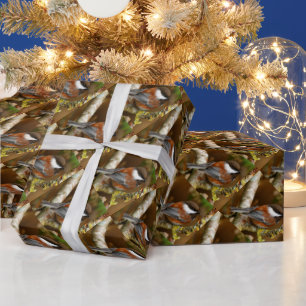 Papier Cadeau Bécasseau mignon à dos de châtaignier sur poirier