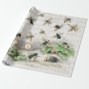 Papier Cadeau Bee Honey Travailleur Queen Bees Antique