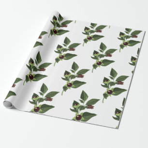 Papier Cadeau Belladone