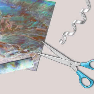 Papier Cadeau Belle Paua Black Abalone Nouvelle-Zélande Shell