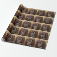 Belle photographie de Borneo Orangutan