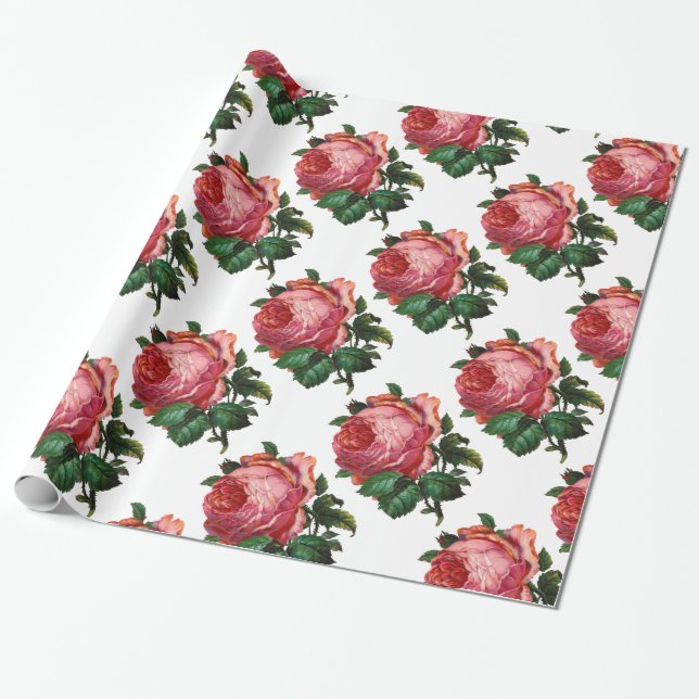 Papier Cadeau BELLE ROSE ROSE ROSE ROSE, Blanc (Déroulé)