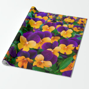Papier Cadeau Belles boiseries fleuries dans le jardin