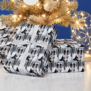 Papier Cadeau Berger Australien Avec Écharpe D'Hiver