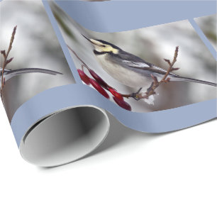Papier cadeau Bergeronnette grise