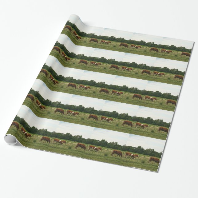 Papier Cadeau Bétail Brown et blancs de Hereford (Déroulé)