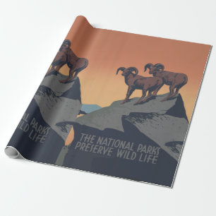 Papier Cadeau Bighorn Sheep American West Wildlife