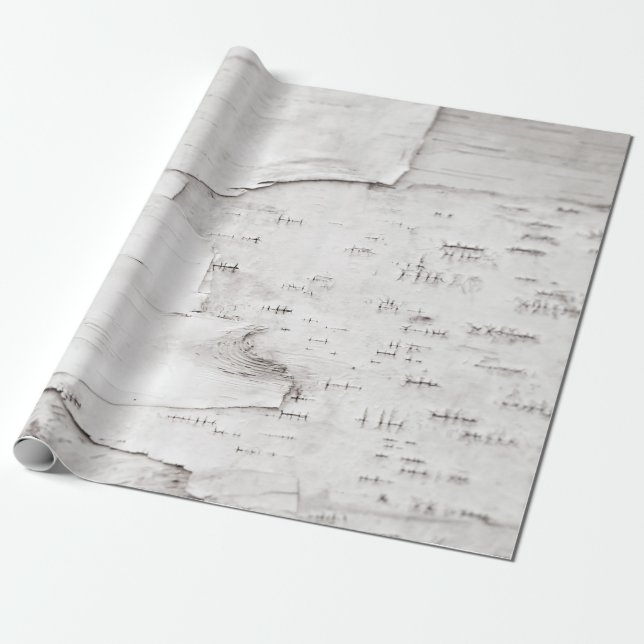 Papier Cadeau Birch Bark Tree White Rustic Country Woodland (Déroulé)