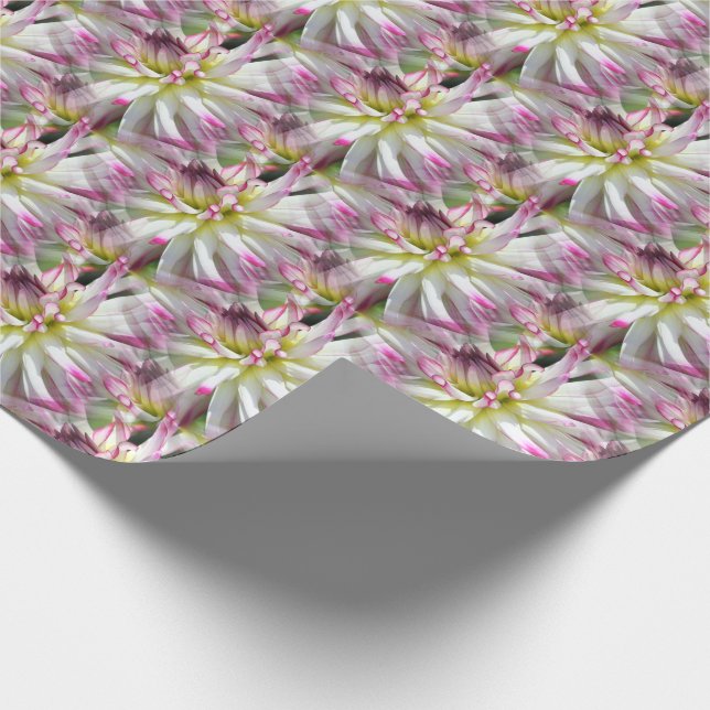 Papier Cadeau Blanc Dahlia Fleur Motif Nature    (Coin)