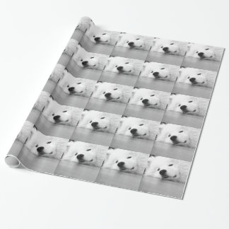 Papier Cadeau Blanc de chien de photo de Samoyed