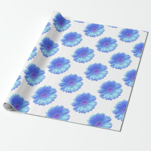 Papier Cadeau Bleu marguerite