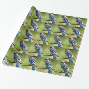 Papier Cadeau Blue Jay penser à toi ami famille maman papa