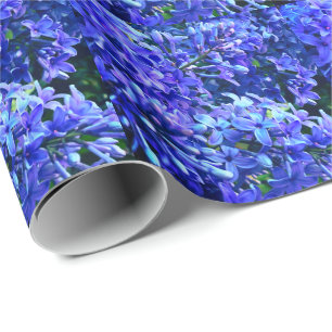 Papier Cadeau Blue violet lilas romantique bleu floral photo