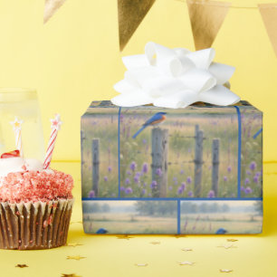 Papier Cadeau Bluebird sur le billet de clôture de pays