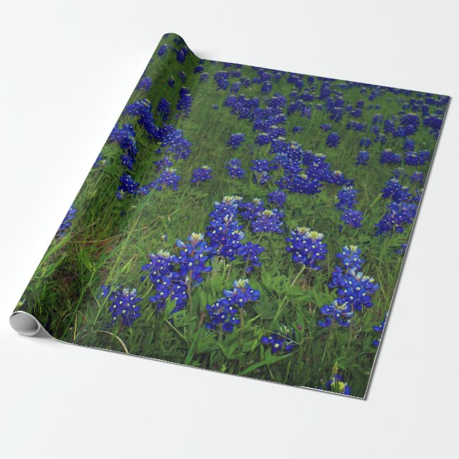 Papier Cadeau Bluebonnets Blue Floral Texas Texan Elegant (Déroulé)