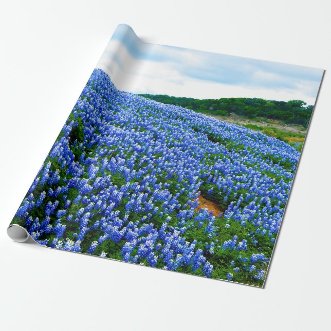 Papier Cadeau Bluebonnets Blue Floral Texas Texan Elegant (Déroulé)