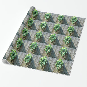 Papier Cadeau Bois de Grange frais coupé