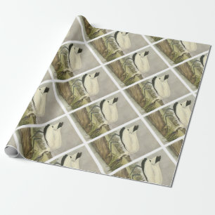 Papier Cadeau Bois Stork par Audubon