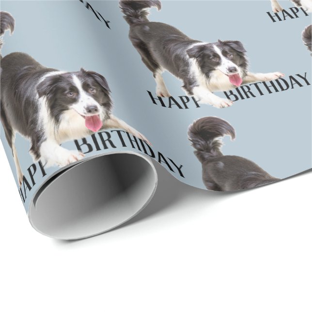 Papier Cadeau Bordure d'anniversaire Collie sur bleu (Coin rond)