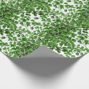 Papier Cadeau Botanique de vigne verte