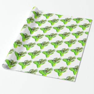 Papier Cadeau Bouddha vert Mossy méditant Thunder_Cove