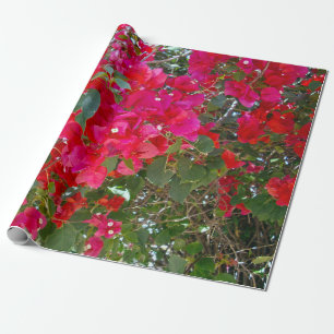 Papier Cadeau Bougainvilliers rouges,