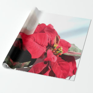 Papier Cadeau Bougie et Poinsettia pour Noël