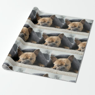 Papier Cadeau boule dogue français sous couverture