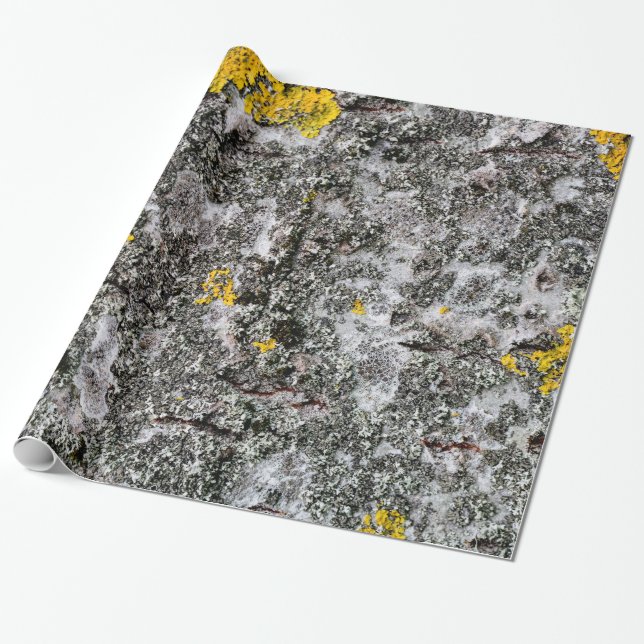 Papier Cadeau Bouleau et lichen (Déroulé)