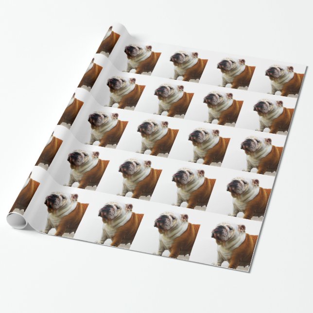 Papier Cadeau Bouledogue (Déroulé)