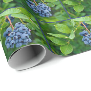 Papier Cadeau Bouquet de bleuets sur branche