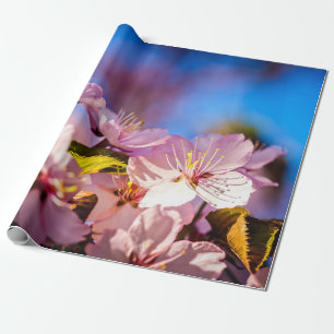 Papier Cadeau Bouquet De Fleurs Sakura