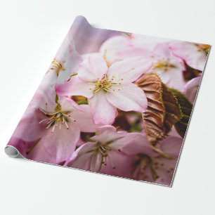 Papier Cadeau Bouquet de Sakura roses sur fond rose