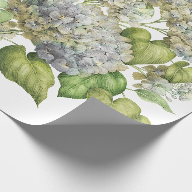Papier Cadeau Bouquet floral botanique de Lavender Blue Hydrange (Coin)