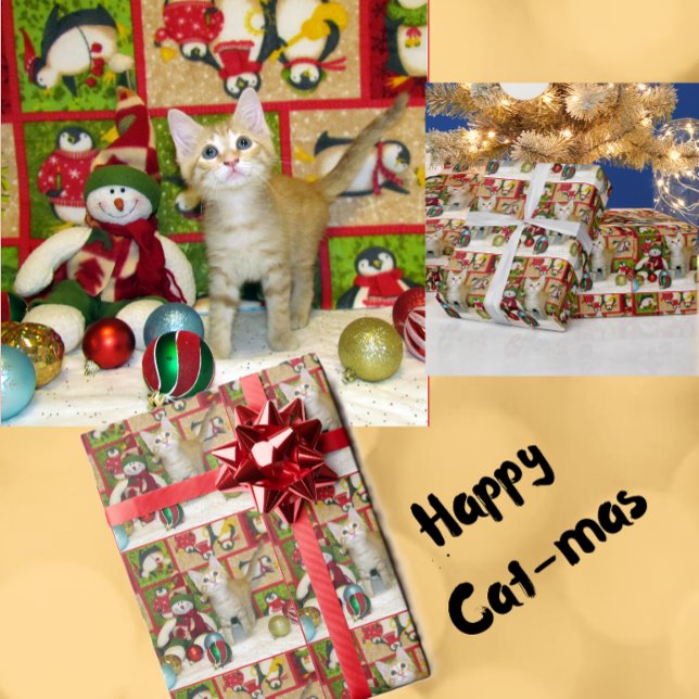 Papier Cadeau Breezy The Cat - Rouleau papier enveloppant de Noë (Créateur téléchargé)