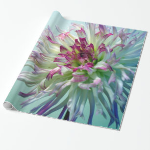 Papier Cadeau Brillez-moi, dahlia !