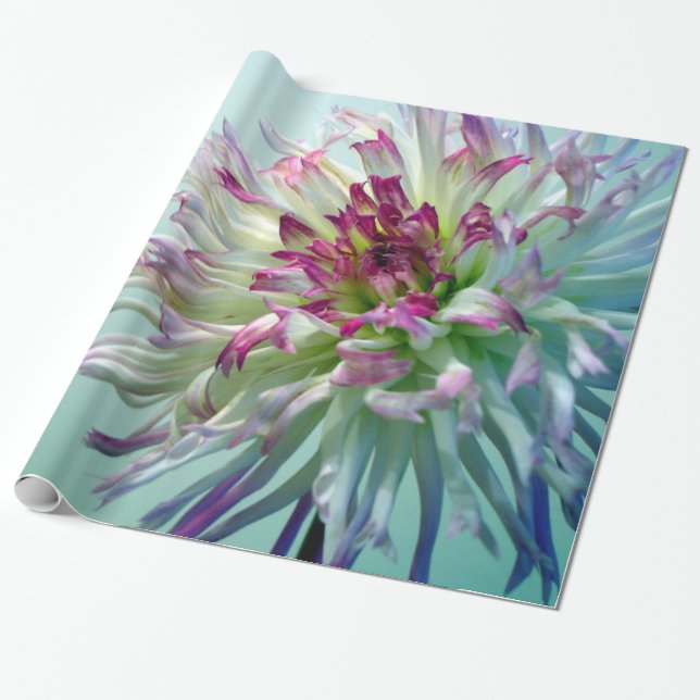 Papier Cadeau Brillez-moi, dahlia ! (Déroulé)