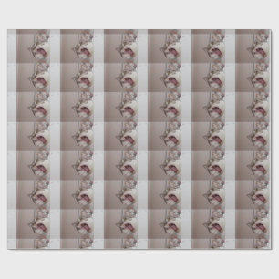 Papier Cadeau British Shorthair qui crie