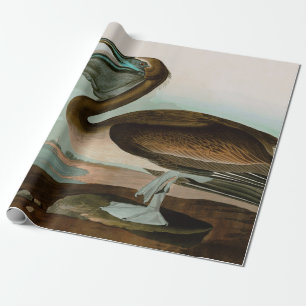 Papier Cadeau Brown Pelican Birds of America Audubon Imprimer
