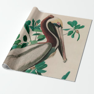 Papier Cadeau Brown Pelican Birds of America Audubon Imprimer