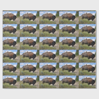 Papier Cadeau Buffalo sur le papier d'emballage de jour