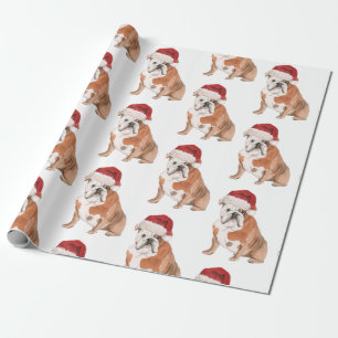 Papier Cadeau Bull Chien Noël Santa Hat