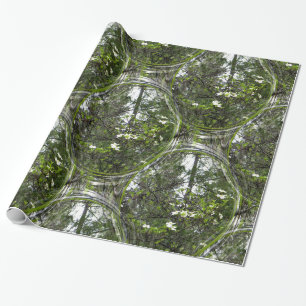 Papier Cadeau Bulles de Dogwood......