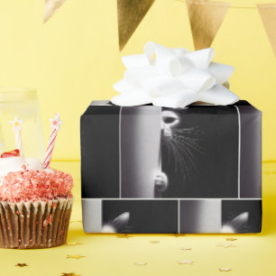 Papier Cadeau Cachette Dans L'Ombre