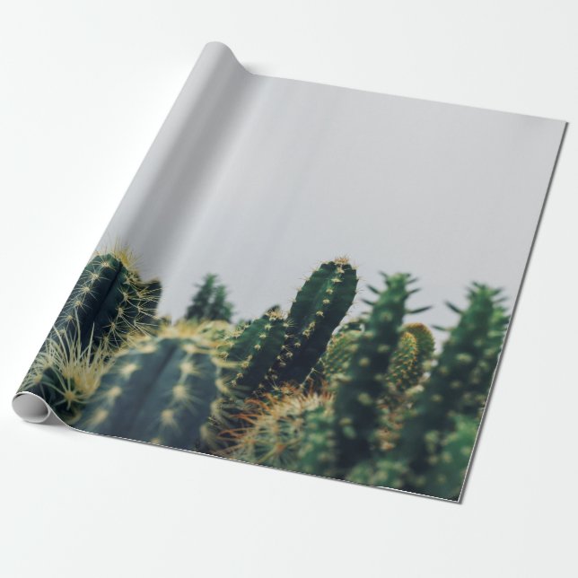 PAPIER CADEAU CACTI VERT (Déroulé)
