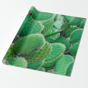 Papier Cadeau Cactus, cactus de poires épineuses, épines de ca