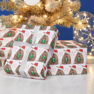 Papier Cadeau Cadeaux père Noël Armadillo Texas