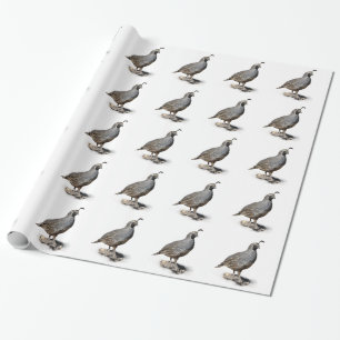 PAPIER CADEAU CAILLES DE CALIFORNIE