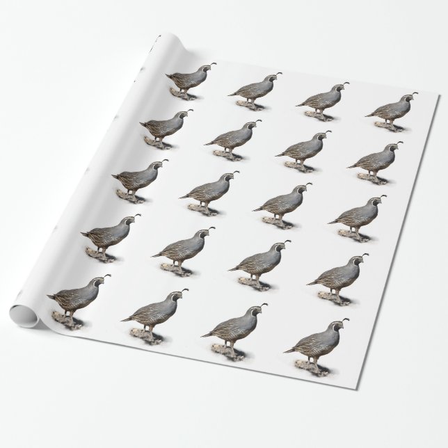 PAPIER CADEAU CAILLES DE CALIFORNIE (Déroulé)